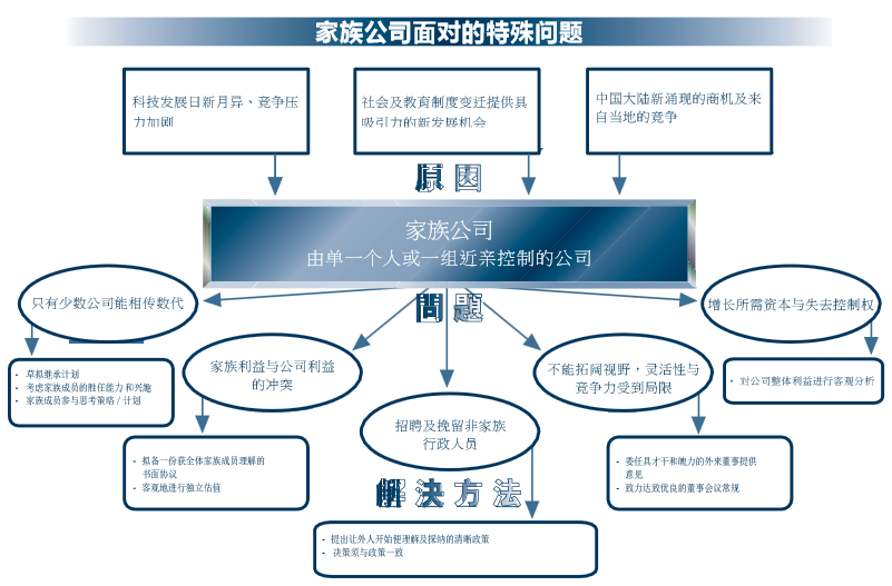 公司面对的特殊问题 公司面对的特殊问题