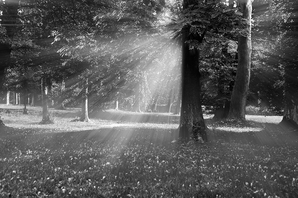 监管，证券及衍生品